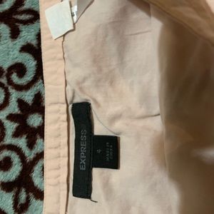 Express size 4 skirt